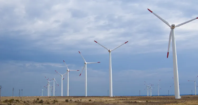 MPPE tenta reverter acordo sobre usinas eólicas e alerta para riscos ambientais e sociais no Agreste de Pernambuco