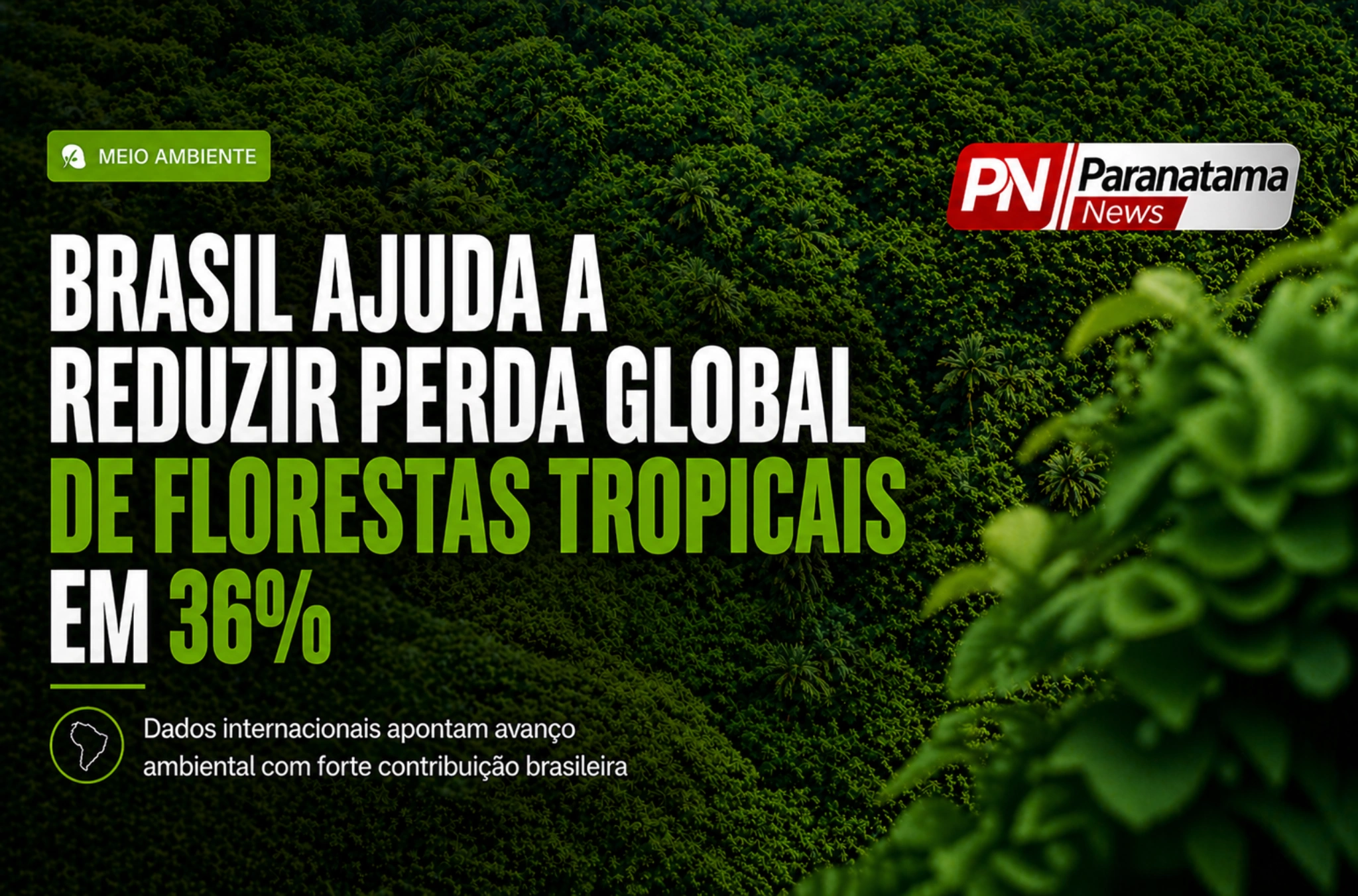 Brasil lidera reação ambiental e ajuda a reduzir perda global de florestas tropicais em 36%